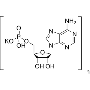 Polyadenylic acid potassium|CS-0536174