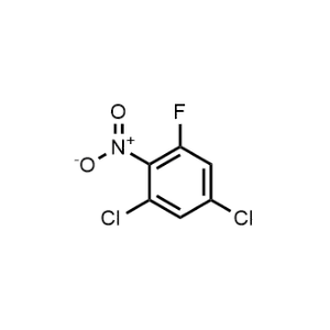 1,5-Dichloro-3-fluoro-2-nitrobenzene|CS-0539715