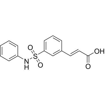 (E)-3-(3-(N-phenylsulfamoyl)phenyl)acrylic acid|CS-0539898