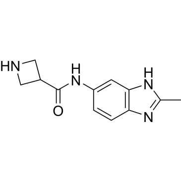 N-(2-methyl-1H-benzo[d]imidazol-6-yl)azetidine-3-carboxamide|CS-0543530