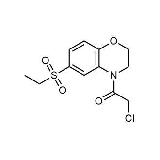 2-Chloro-1-(6-(ethylsulfonyl)-2,3-dihydro-4H-benzo[b][1,4]oxazin-4-yl)ethan-1-one|CS-0544225