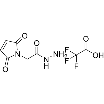 2-(2,5-Dioxo-2,5-dihydro-1H-pyrrol-1-yl)acetohydrazide 2,2,2-trifluoroacetate|CS-0546181