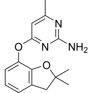 4-((2,2-Dimethyl-2,3-dihydrobenzofuran-7-yl)oxy)-6-methylpyrimidin-2-amine|CS-0548966
