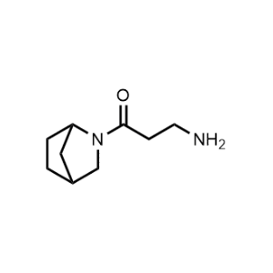 3-Amino-1-(2-azabicyclo[2.2.1]Heptan-2-yl)propan-1-one|CS-0550148