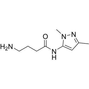 4-Amino-N-(1,3-dimethyl-1H-pyrazol-5-yl)butanamide|CS-0553860