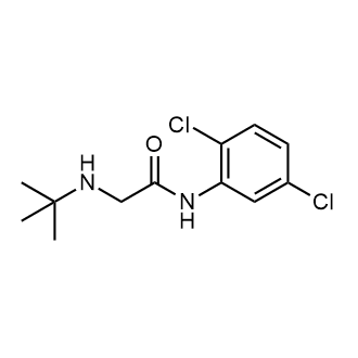 2-(Tert-butylamino)-N-(2,5-dichlorophenyl)acetamide|CS-0555391