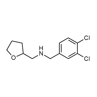 N-(3,4-dichlorobenzyl)-1-(tetrahydrofuran-2-yl)methanamine|CS-0555687