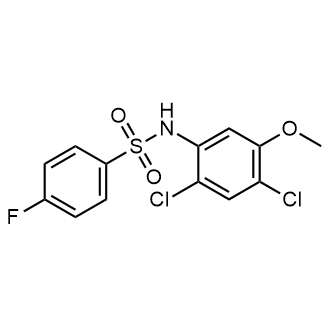 N-(2,4-dichloro-5-methoxyphenyl)-4-fluorobenzenesulfonamide|CS-0556487