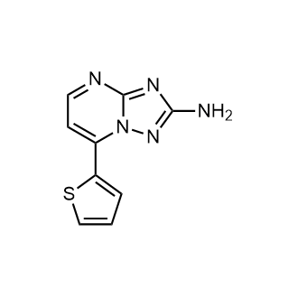 7-(Thiophen-2-yl)-[1,2,4]triazolo[1,5-a]pyrimidin-2-amine|CS-0556496