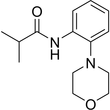 N-(2-morpholinophenyl)isobutyramide|CS-0556791