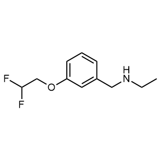 N-(3-(2,2-difluoroethoxy)benzyl)ethanamine|CS-0557509