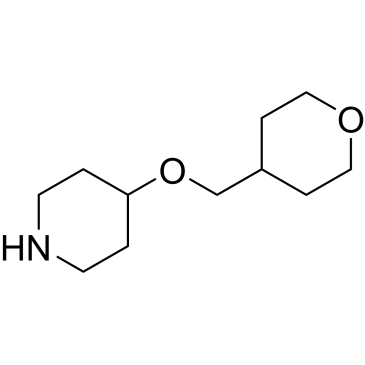 4-((Tetrahydro-2H-pyran-4-yl)methoxy)piperidine|CS-0557953
