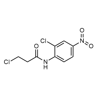 3-Chloro-N-(2-chloro-4-nitrophenyl)propanamide|CS-0558735
