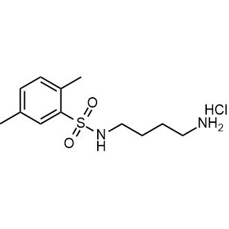 N-(4-aminobutyl)-2,5-dimethylbenzenesulfonamide hydrochloride|CS-0560288