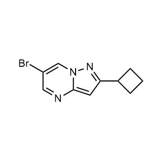 6-Bromo-2-cyclobutylpyrazolo[1,5-a]pyrimidine|CS-0561194