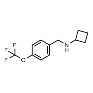 N-(4-(trifluoromethoxy)benzyl)cyclobutanamine|CS-0561294