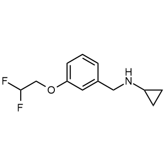 N-(3-(2,2-difluoroethoxy)benzyl)cyclopropanamine|CS-0561820
