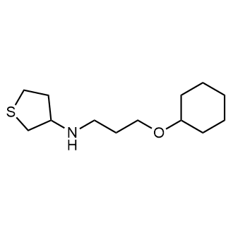 N-(3-(cyclohexyloxy)propyl)tetrahydrothiophen-3-amine|CS-0562143