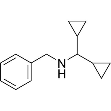 N-benzyl-1,1-dicyclopropylmethanamine|CS-0562149