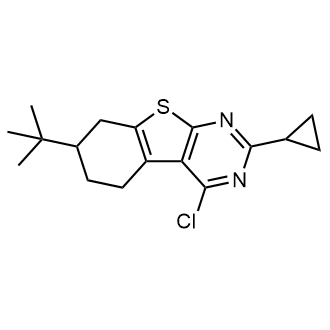 7-(Tert-butyl)-4-chloro-2-cyclopropyl-5,6,7,8-tetrahydrobenzo[4,5]thieno[2,3-d]pyrimidine|CS-0562787