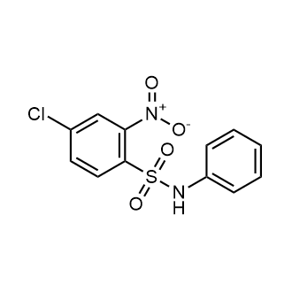 4-Chloro-2-nitro-N-phenylbenzenesulfonamide|CS-0562800