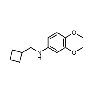 N-(cyclobutylmethyl)-3,4-dimethoxyaniline|CS-0562982
