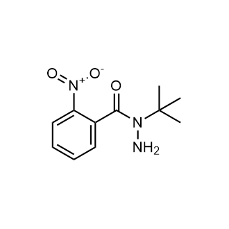N-(tert-butyl)-2-nitrobenzohydrazide|CS-0563183