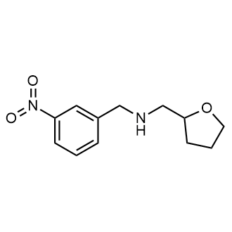N-(3-nitrobenzyl)-1-(tetrahydrofuran-2-yl)methanamine|CS-0563827