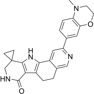 CS-0564043