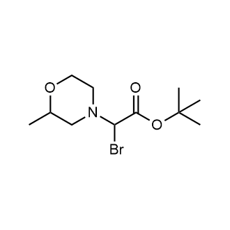 Tert-butyl 2-bromo-2-(2-methylmorpholino)acetate|CS-0570745