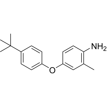 4-(4-(Tert-butyl)phenoxy)-2-methylaniline|CS-0573534