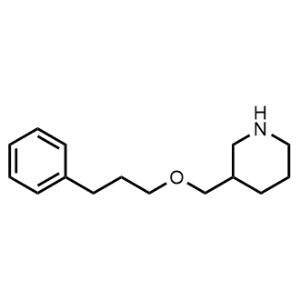 3-((3-Phenylpropoxy)methyl)piperidine|CS-0573997