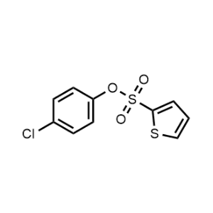 4-Chlorophenyl thiophene-2-sulfonate|CS-0574024