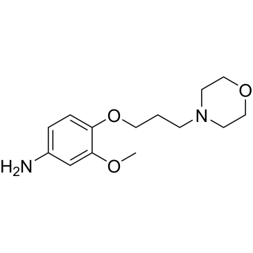 3-Methoxy-4-(3-morpholinopropoxy)aniline|CS-0574509