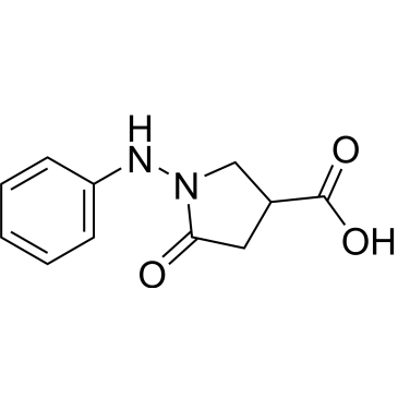 5-Oxo-1-(phenylamino)pyrrolidine-3-carboxylic acid|CS-0575357