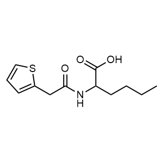 2-(2-(Thiophen-2-yl)acetamido)hexanoic acid|CS-0578509