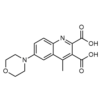 4-Methyl-6-morpholinoquinoline-2,3-dicarboxylic acid|CS-0579725