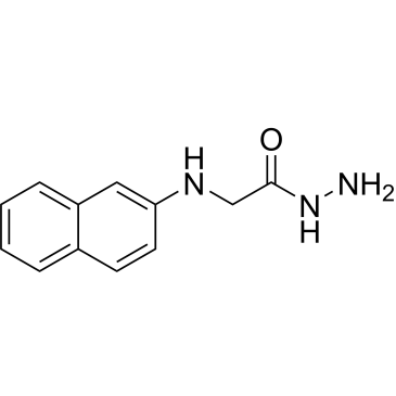 2-(Naphthalen-2-ylamino)acetohydrazide|CS-0580287