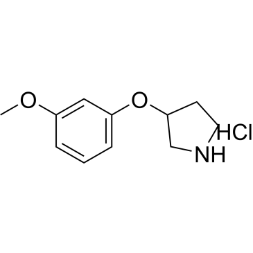 3-(3-Methoxyphenoxy)pyrrolidine hydrochloride|CS-0582383