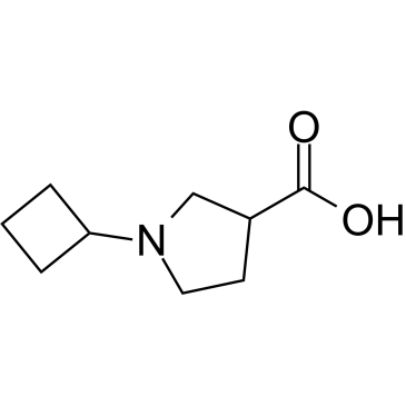 1-Cyclobutylpyrrolidine-3-carboxylic acid|CS-0583025