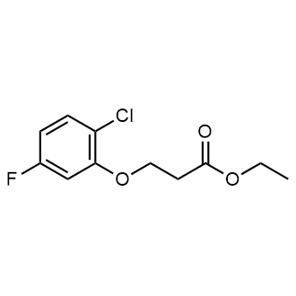 Ethyl 3-(2-chloro-5-fluorophenoxy)propanoate|CS-0583368