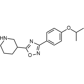 3-(4-Isopropoxyphenyl)-5-(piperidin-3-yl)-1,2,4-oxadiazole|CS-0584176