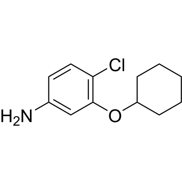4-Chloro-3-(cyclohexyloxy)aniline|CS-0584484