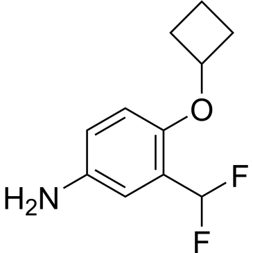 4-Cyclobutoxy-3-(difluoromethyl)aniline|CS-0584534
