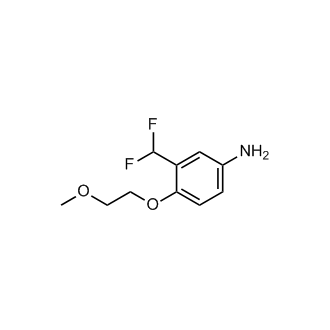 3-(Difluoromethyl)-4-(2-methoxyethoxy)aniline|CS-0584555