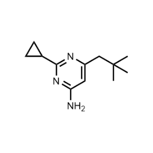 2-Cyclopropyl-6-neopentylpyrimidin-4-amine|CS-0585271