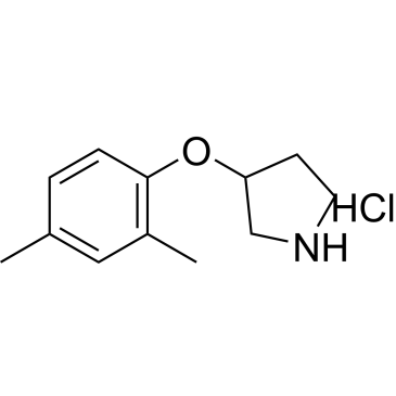3-(2,4-Dimethylphenoxy)pyrrolidine hydrochloride|CS-0585521