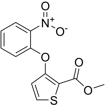 Methyl 3-(2-nitrophenoxy)thiophene-2-carboxylate|CS-0587702