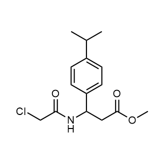 Methyl 3-(2-chloroacetamido)-3-(4-isopropylphenyl)propanoate|CS-0589022
