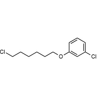 1-Chloro-3-((6-chlorohexyl)oxy)benzene|CS-0589453